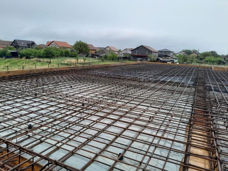 Individuala Parter Becicherecu Mic, Zona Semicentrala,4 Camere,Teren 800 mp - 22