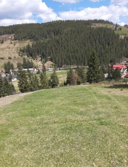 Teren de vânzare intravilan în Arieșeni (Alba) - 13