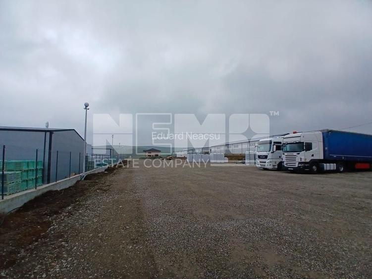 De Închiriat Teren I Scheia, Suceava I 6 EURO mp