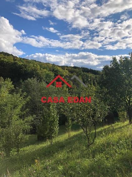 Teren extravilan in Brebu(Pietriceaua)--9104mp--50.000e - 5