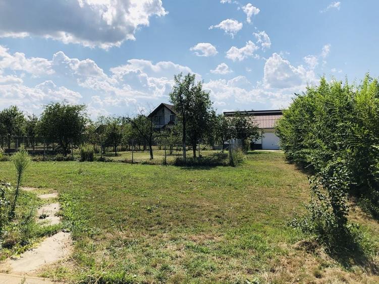 Vand teren de casa in Ardud - 7