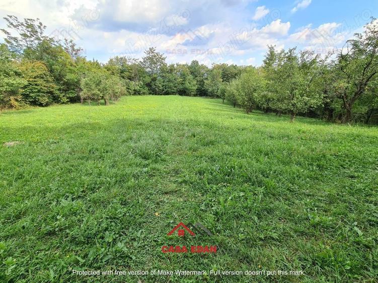 Teren intravilan in Poiana Campina--3287mp--10e - 2