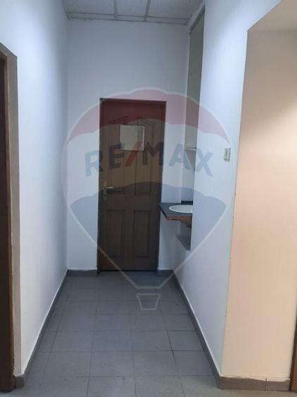 Spațiu industrial de 435mp de închiriat în zona Sannicolau Mic - 6