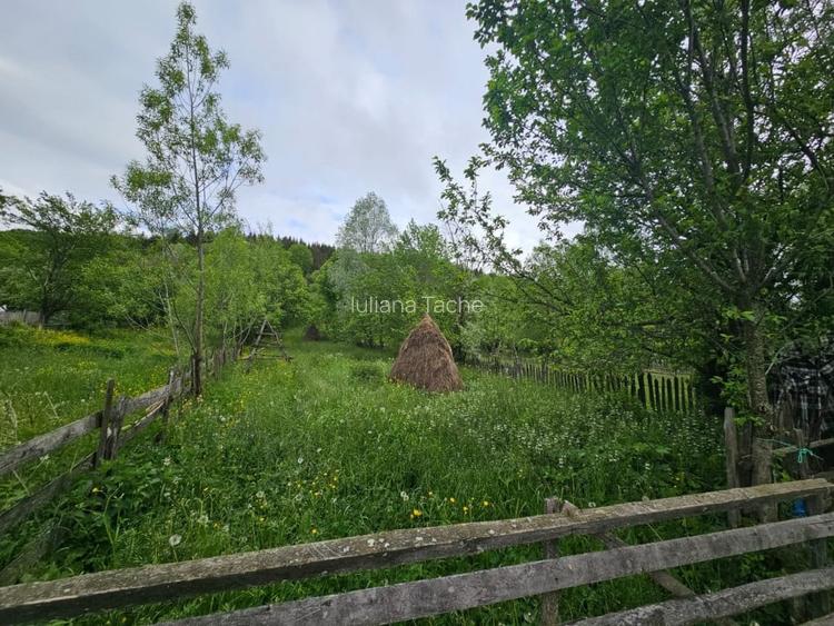 Teren Construcții intravilan de 1660 mp, în Valea Doftanei