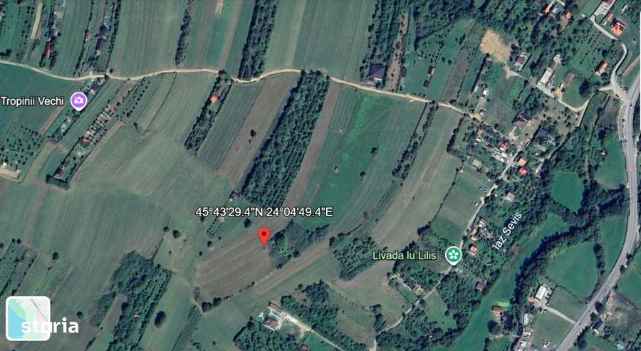 Teren intravilan 6.600 mp Tropinii Noi Rasinari 70 /mp PRIVE - 4