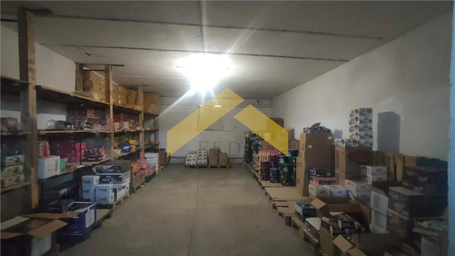 Teren 1,8 ha plus cladiri de vanzare in localitatea Sebis, Arad - 10