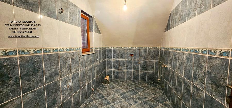 Proprietate Rozvov- Vila P+E+M si Anexa P+M - 15