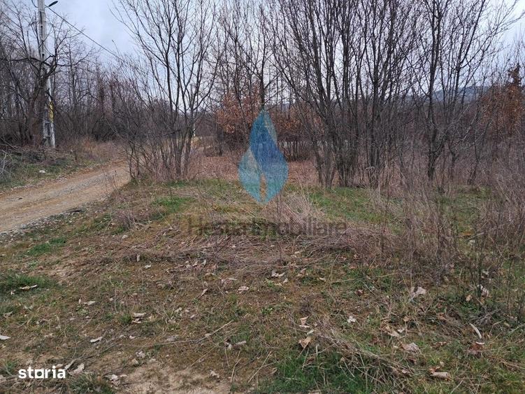 1309mp teren intravilan pentru constructii, Barnova. - 2