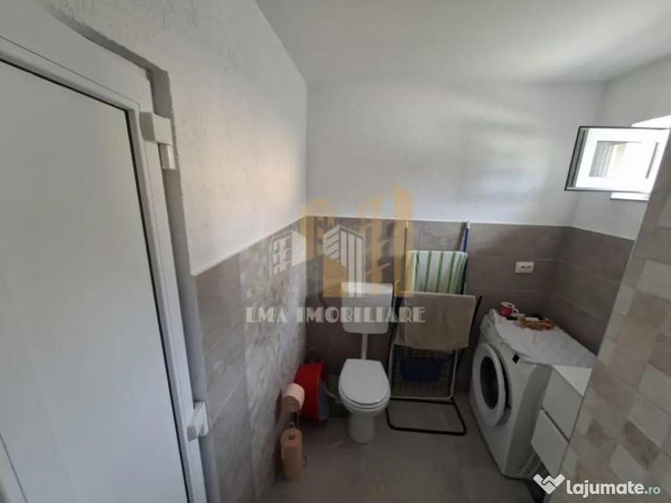 Casa individuala Ileni Fagaras Brasov - 12