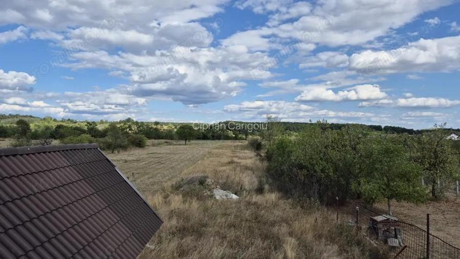 Vanzare casa D+P+M ?i teren 4334 mp - Runcu, Sat Rachi?i