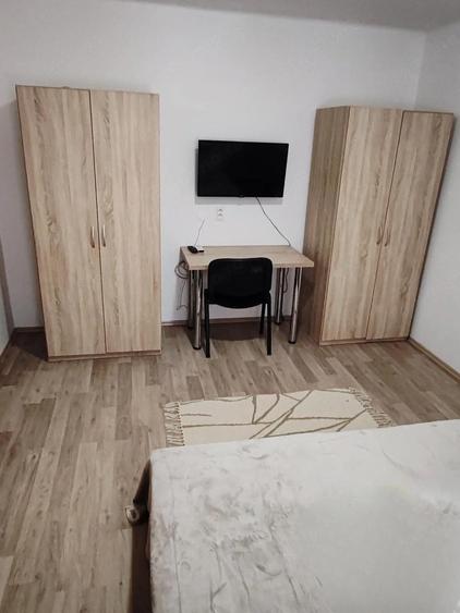 Garsoniera de vanzare in zona Buziasului - 3