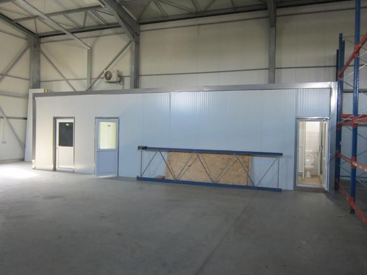 ZONA EST - Theodor Pallady - DRUMUL INTRE TARLALE - A2 - 4