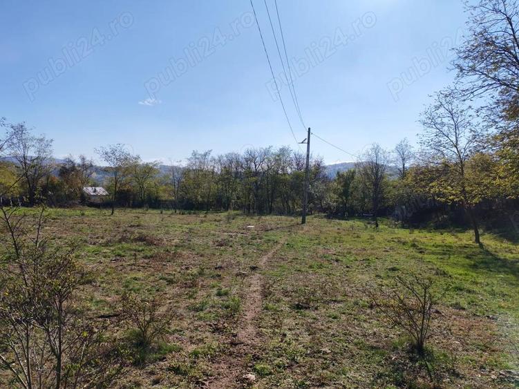 Teren 10000mp.Loc Calvini - 2