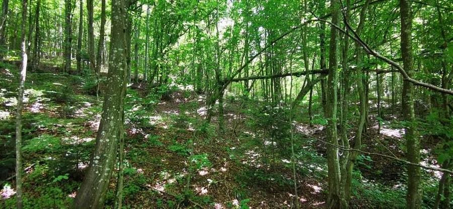 Teren Valiug 900-2400 mp acces auto utilita?i negociabil - 8