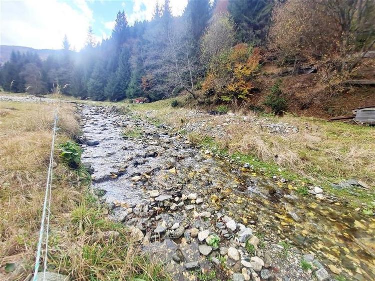 Parcela urbanizabila spectaculoasa,4.600 mp, priveliste emblematica:Piatra Craiu - 22