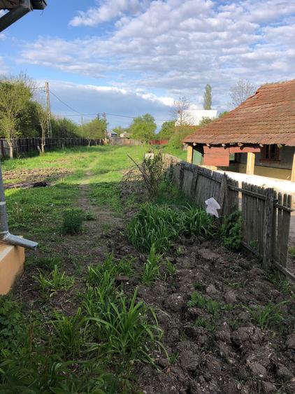 Vand casa cu 3 camere, comuna Icoana, sat Ursoaia - 5