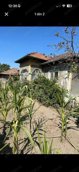 Vand Casa - 1