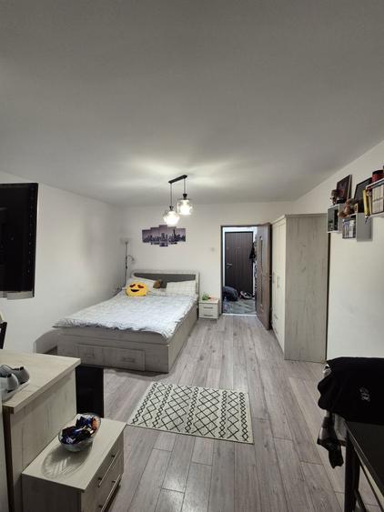 Garsoniera de vanzare Craiovei Pitesti total renovata - 2
