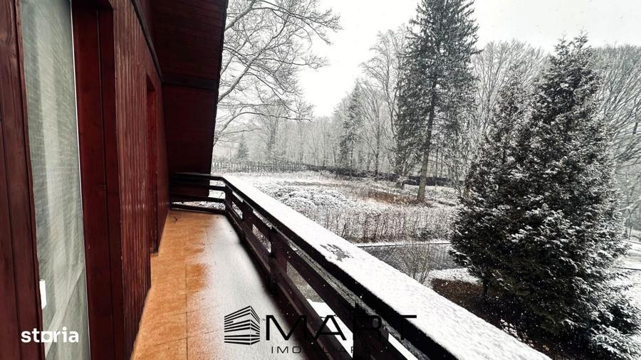 Casa de vacanta cu teren 2000mp Valea Avrigului - 7