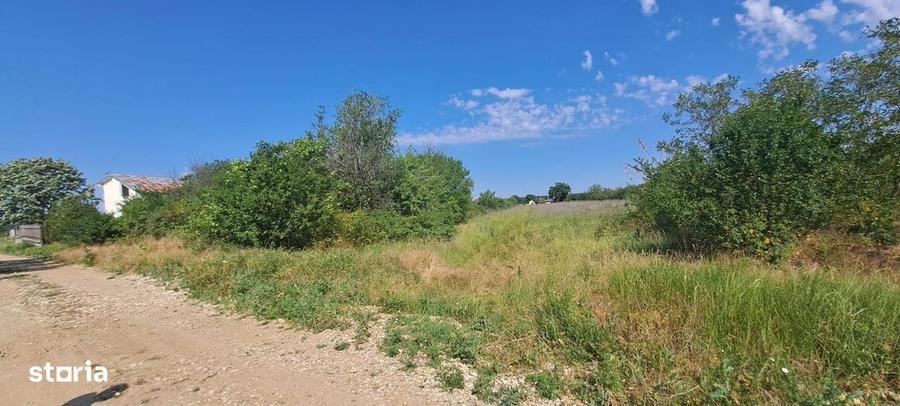 TEREN INTRAVILAN DE VANZARE - 5