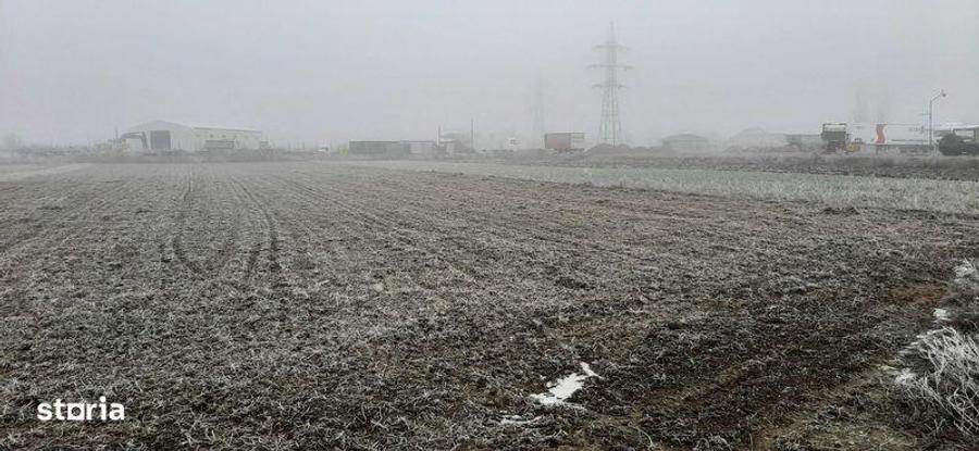 Teren de 6500 mp, în Tărtășești