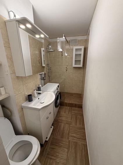 Apartament cu 1 camera in zona Sagului - 8