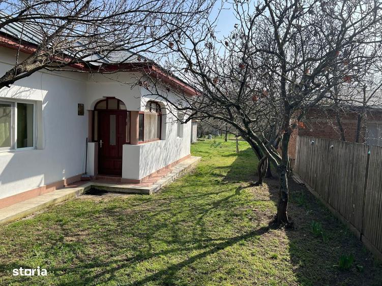 Casa Bolintin Vale Crivina - 6