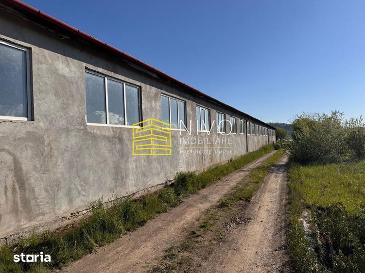 Cladire industriala Hale Miercurea Nirajului - 1