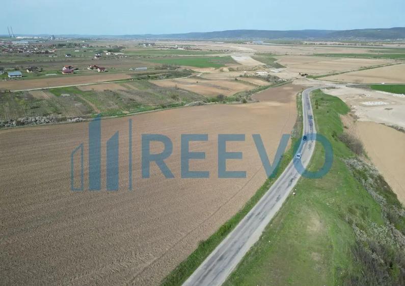 Teren de vanzare, Com. Nicolae Balcescu, Jud. Bacau - 11