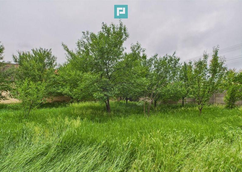 Casa de reabilitat pe teren generos- Comuna Varia? - 1