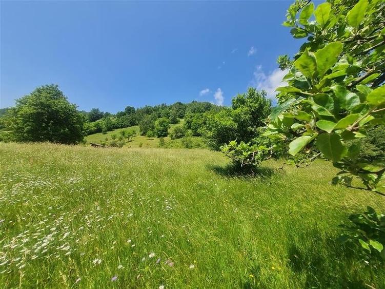 View superb:intravilan,constructie rezidenta/hotel, 2.327 mp,Moieciu de Jos, Bra - 37