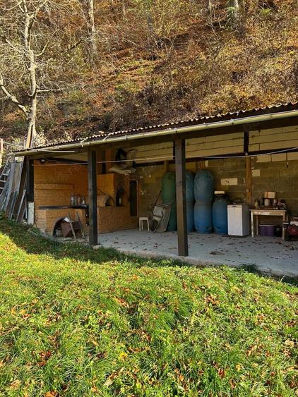 Casa de vacanta cu padure si livada - 12