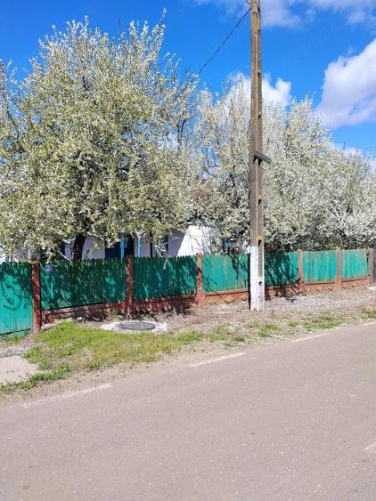 Casa batraneasca - 2