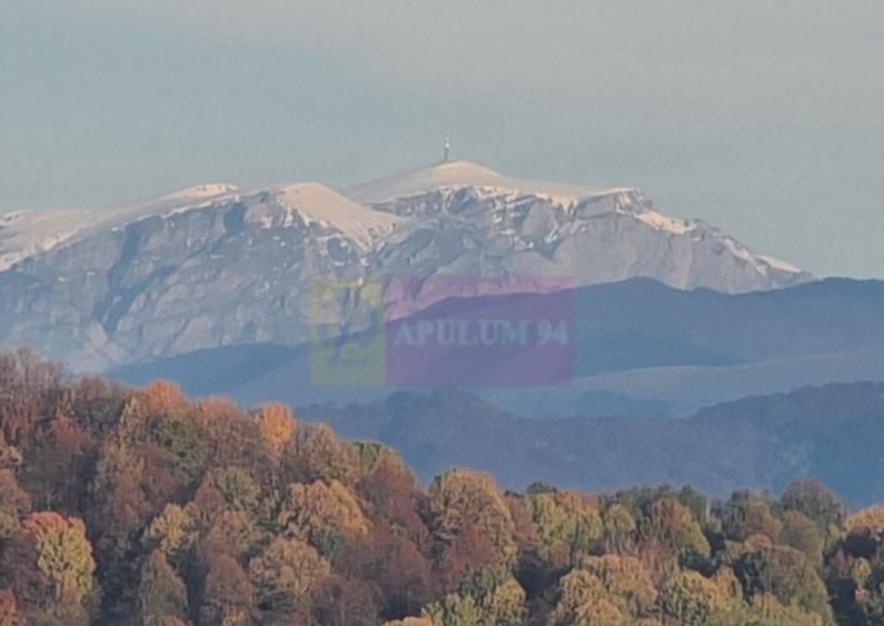Teren intravilan de vanzare in Telega - 17