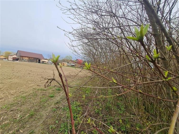 Teren 1.700 mp intravilan, natura, vecinatati bune, potential dublu, Lunca Calni - 10