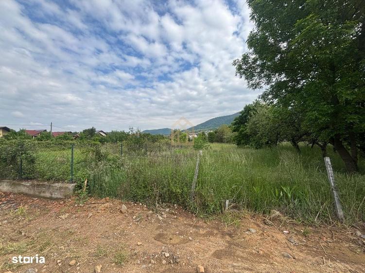 Teren intravilan de vanzare Zona Branduselor - Baia M - 2
