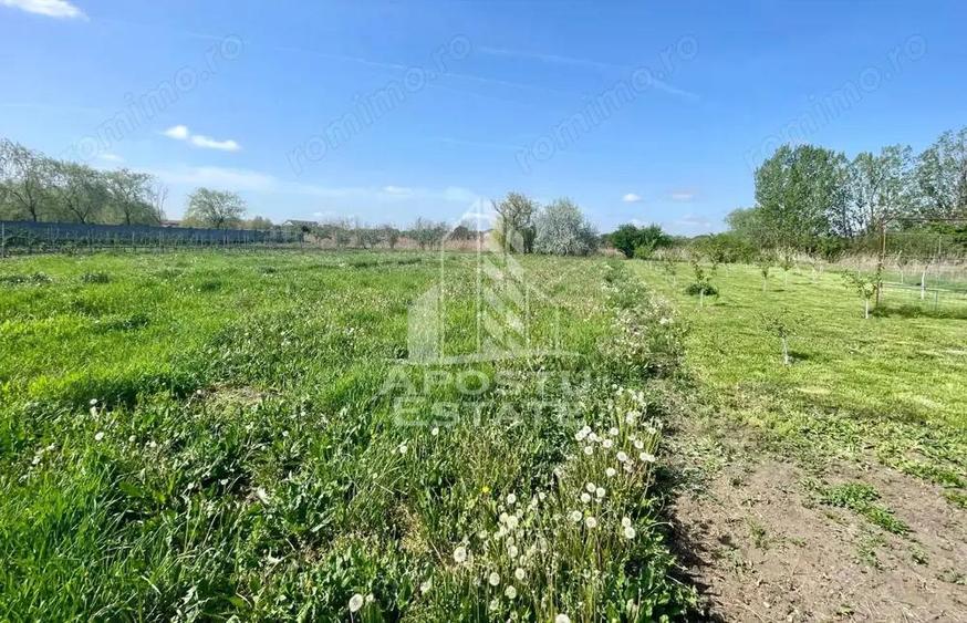Casa individuala cu curte individuala si gradina - Zona Gai - 18