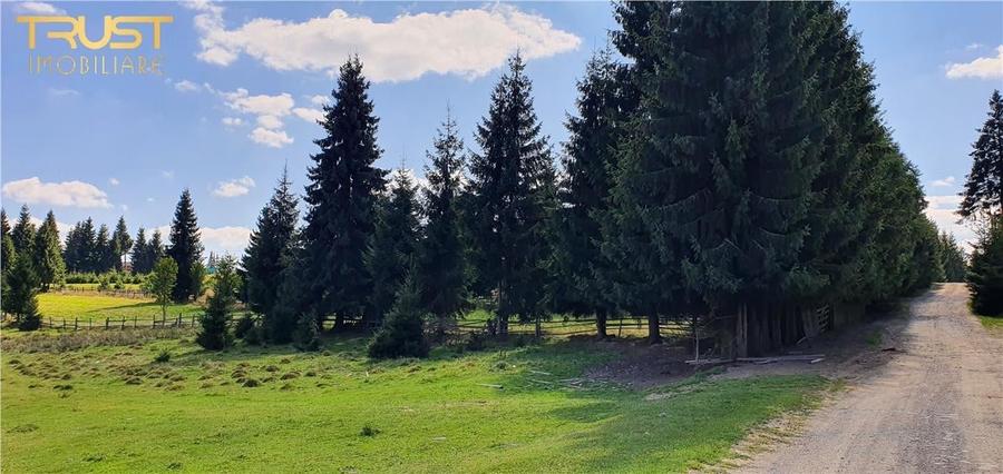 Oportunitare | Teren 1350 mp cu PUZ | Belis - 1