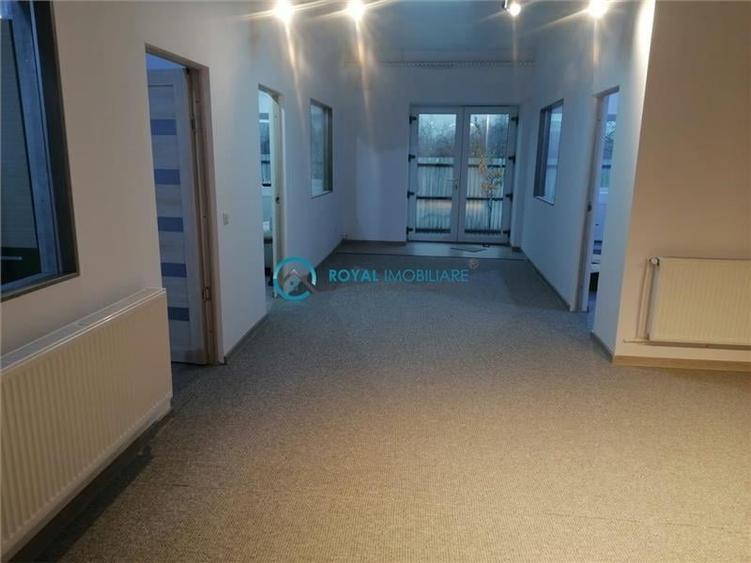 Royal Imobiliare - Vanzare Spatiu de productie Albesti Paleologu - 8