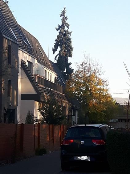 Apartament de vanzare cu gradina - 1