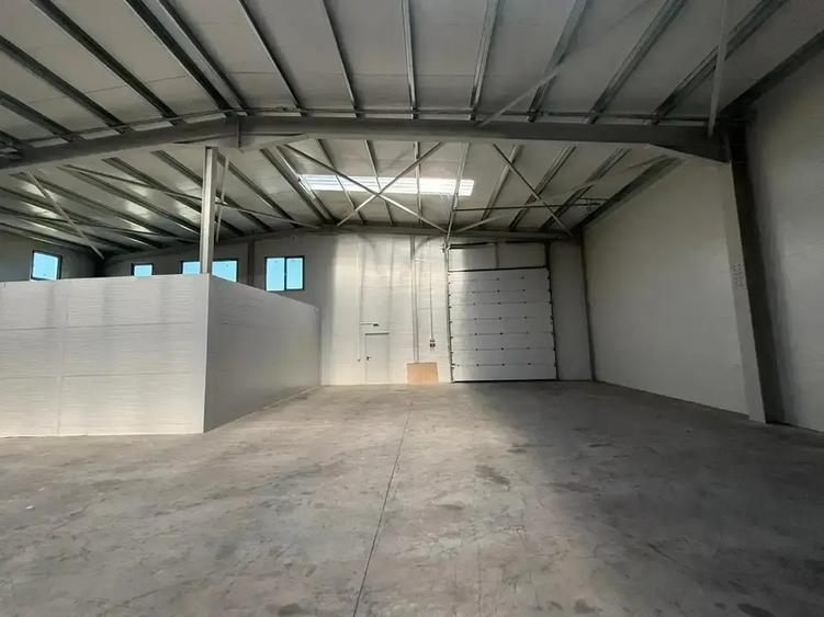 Hala de Inchiriat 590 mp  | Parcul Industrial TBM | Chiajna-Chitila - 6