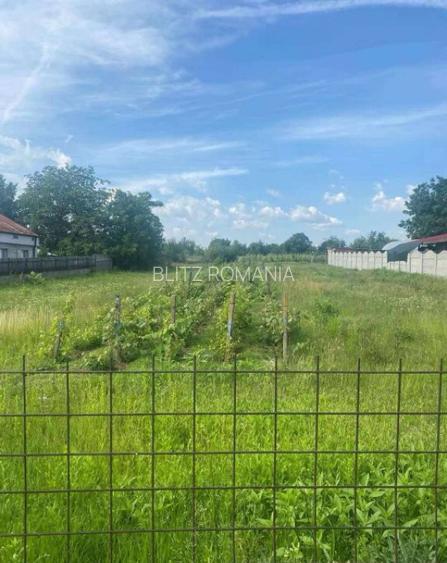 Teren intravilan Carcea 2900mp