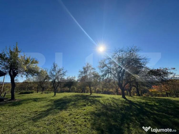 Teren extravilan 2000mp in Tarsa - 3