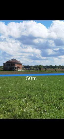 Snagov Silistea. Foarte aproape de lacul Snagov. Cadastru si urbanism - 7