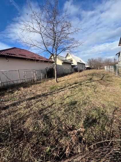 campina teren intravilan de vanzare - 2