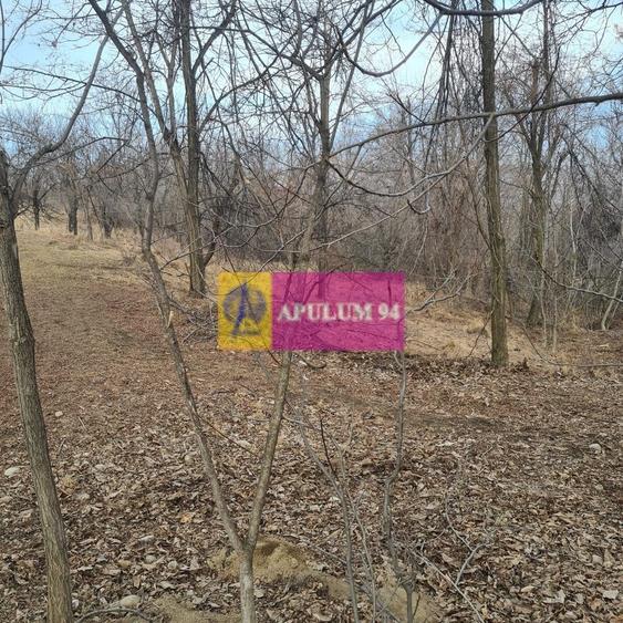 Teren intravilan de vanzare in Cornu de Jos - 2