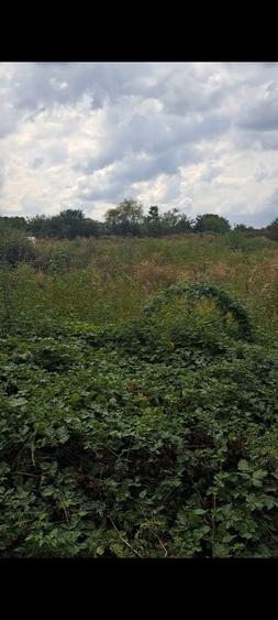 Teren industrial intravilan 10613mp - 2