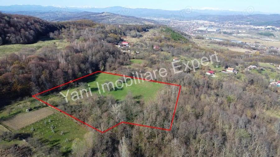 Teren 13.643 mp intravilan de vanzare in Curtea de Arge?. - 9