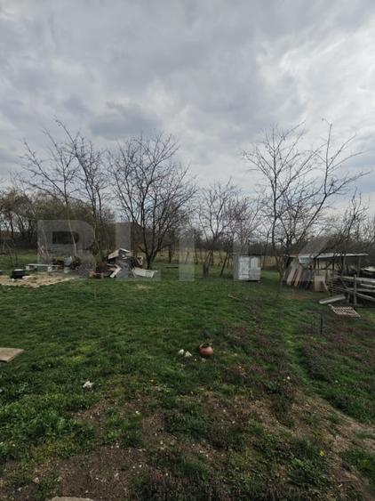 Teren Construcții intravilan de 3000 mp, în Săndulești