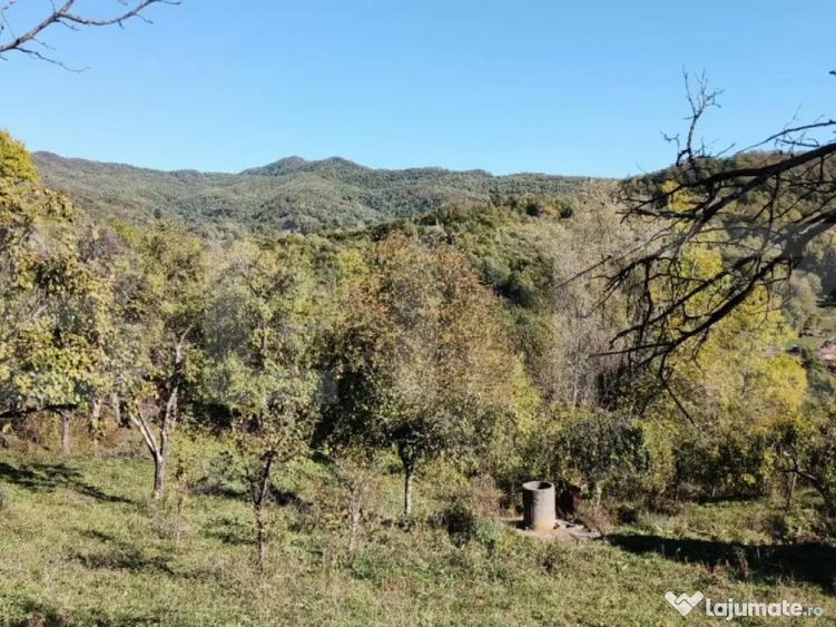 Teren cu priveli?te superba , livada ?i poten?ial casu? - 2
